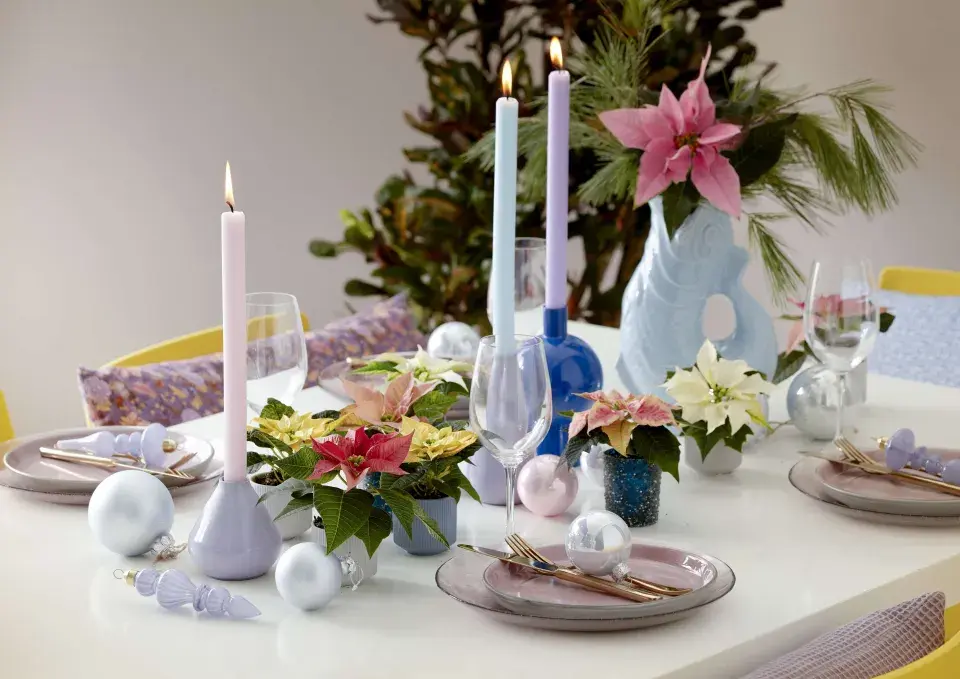 miniaturní vánoční hvězda