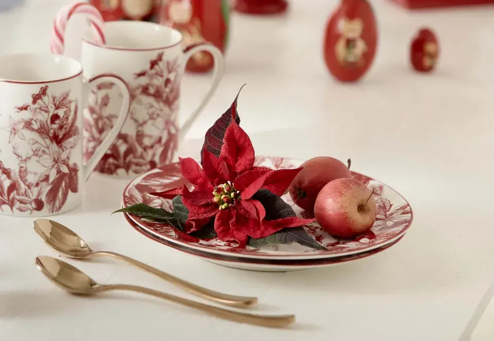 miniaturní vánoční hvězda