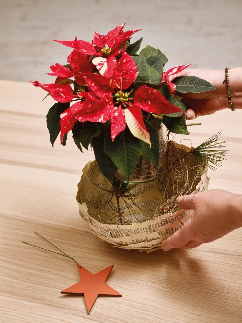 Květinové dekorace s vánoční hvězdou