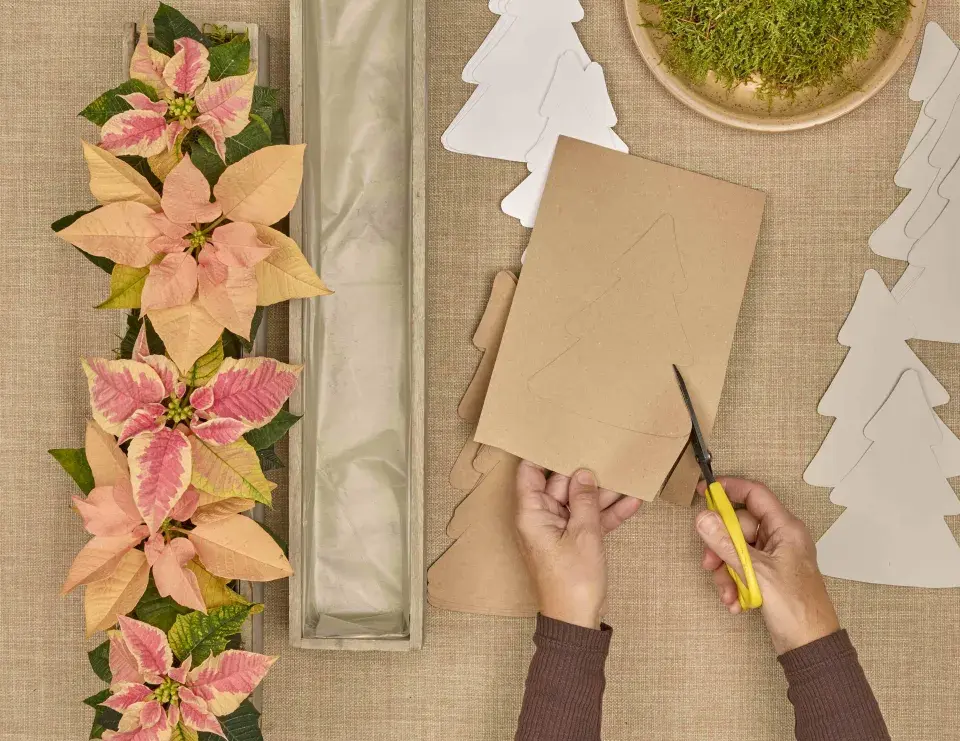 adventní kalendář se stromečky