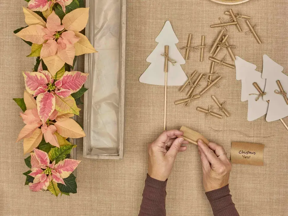 adventní kalendář se stromečky