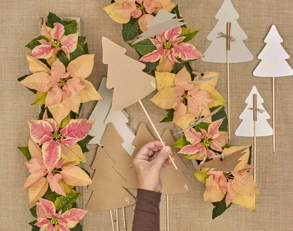 adventní kalendář se stromečky