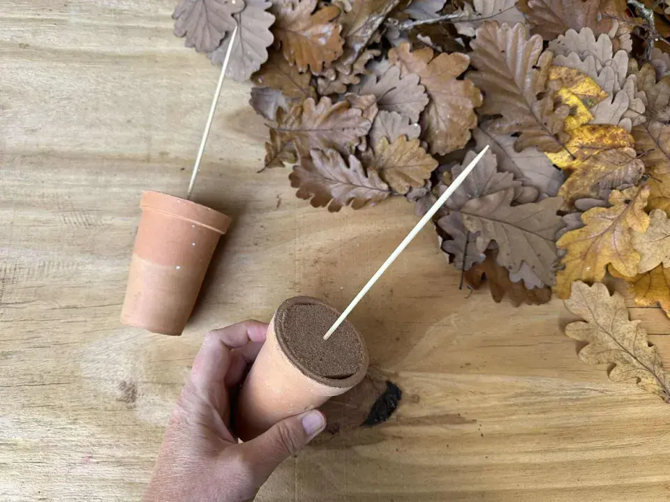 vánoční stromek z listů dubu