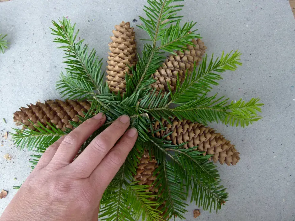 vánoční hvězda z šišek