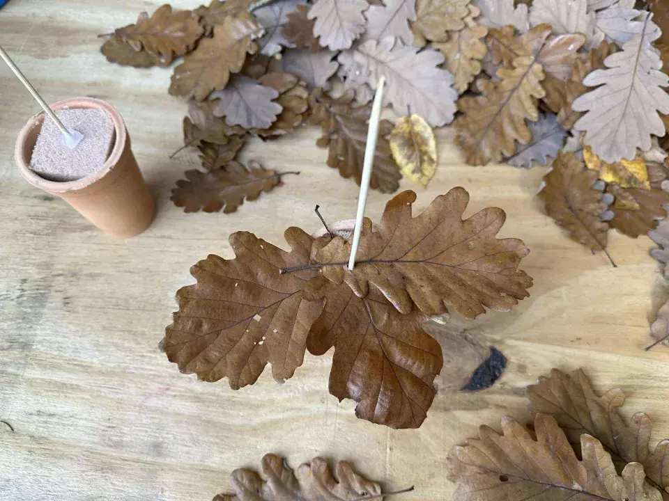 vánoční stromek z listů dubu