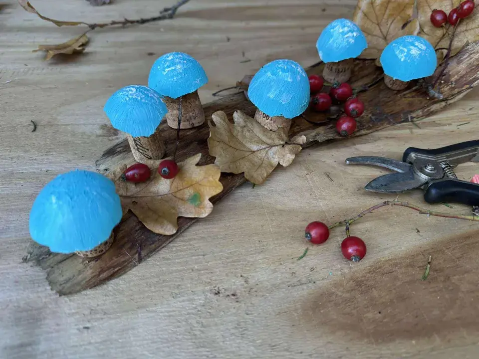 Modré houby DIY