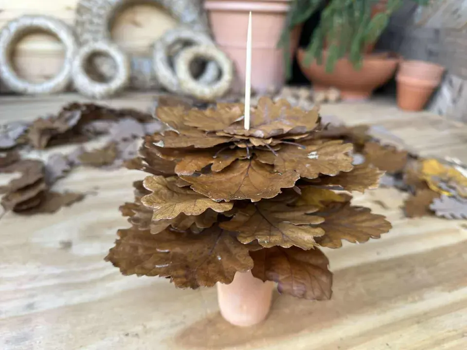 vánoční stromek z listů dubu