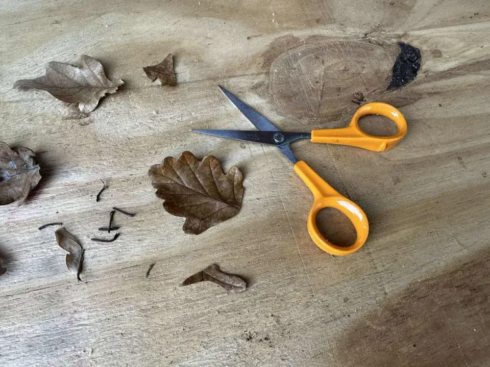 vánoční stromek z listů dubu