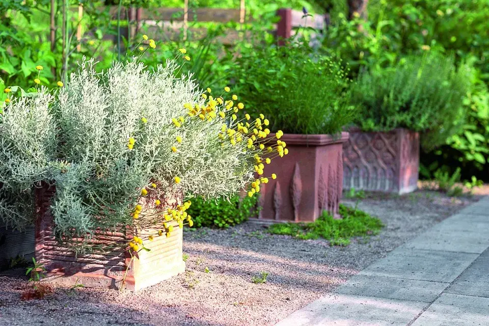 Zahrada plná radosti