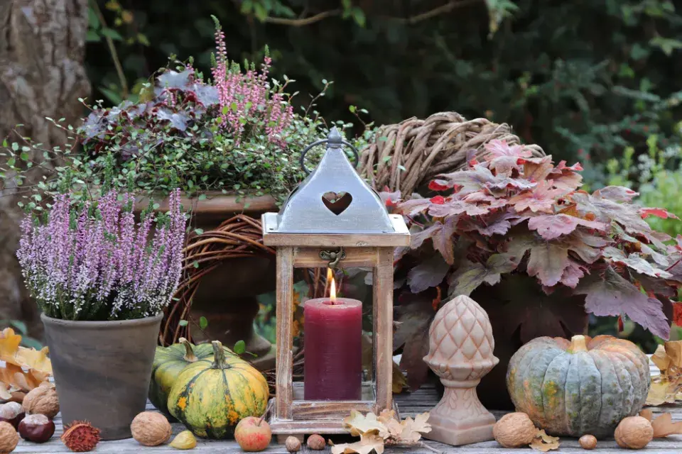 podzimní barvy v zahradě