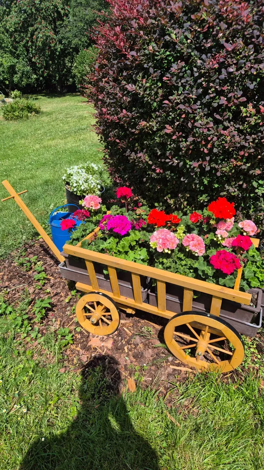 Aleš Cibulka a jeho zahradní relax na chalupě
