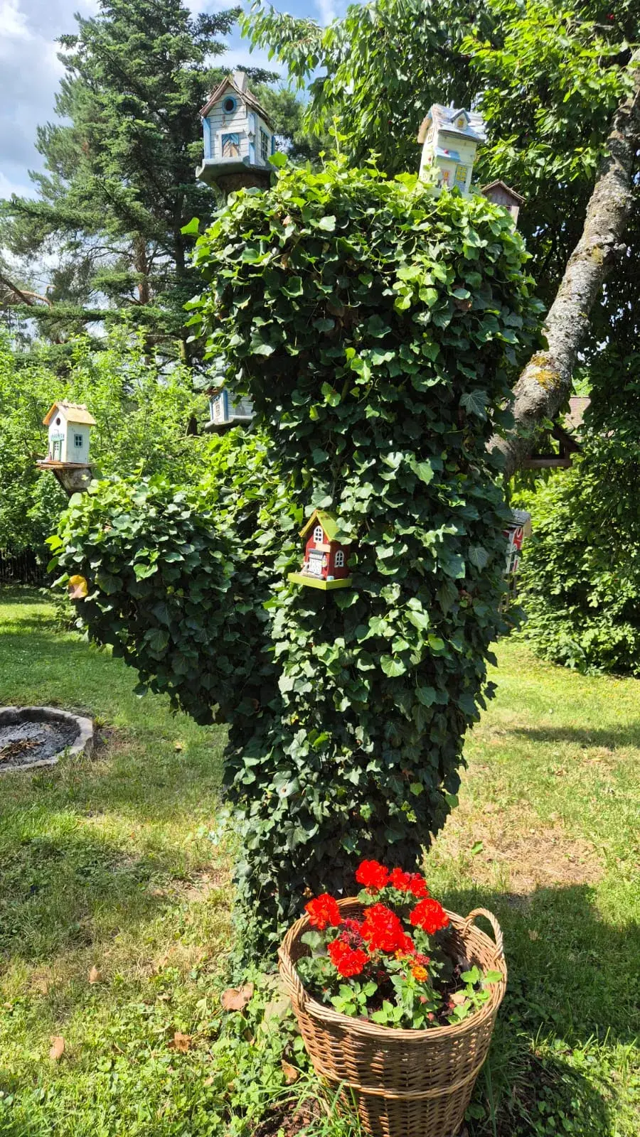 Aleš Cibulka a jeho zahradní relax na chalupě