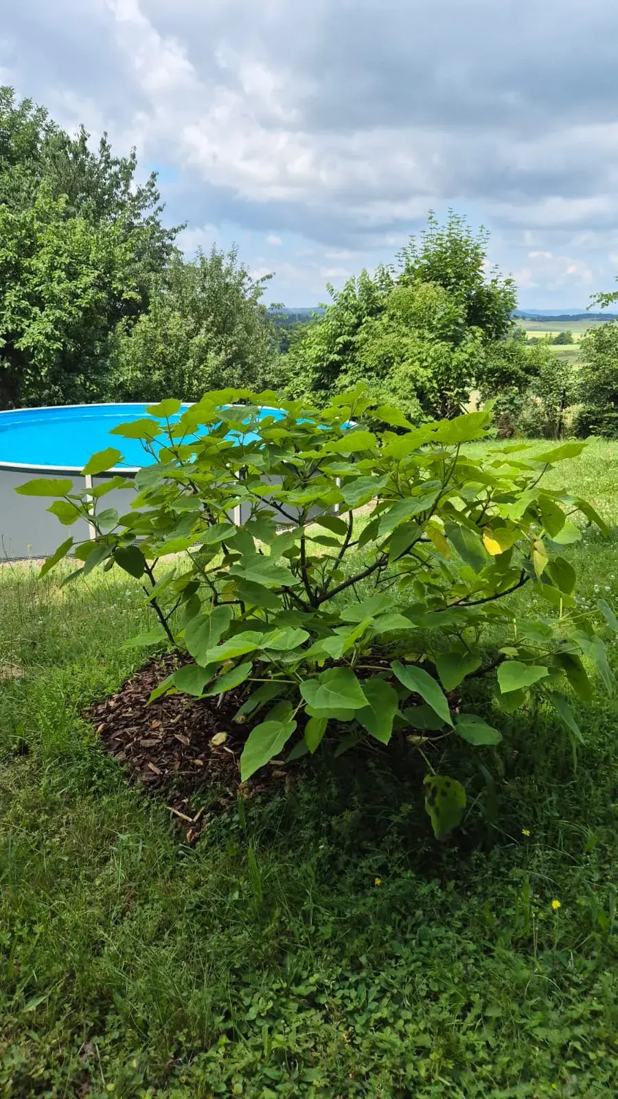 Aleš Cibulka a jeho zahradní relax na chalupě