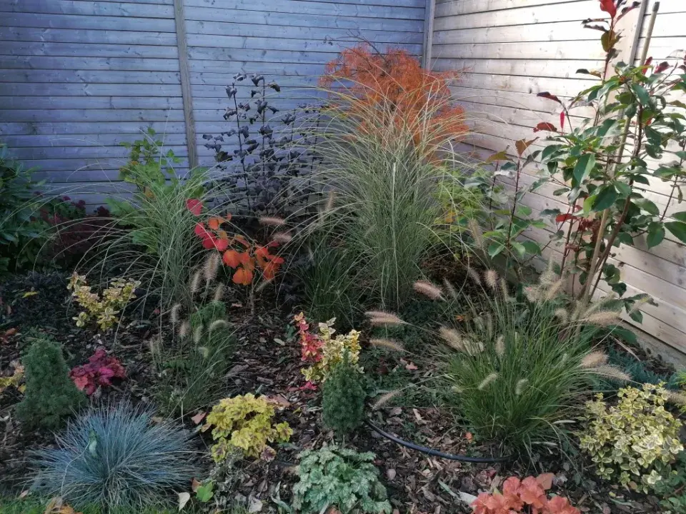 Plánování zahrady