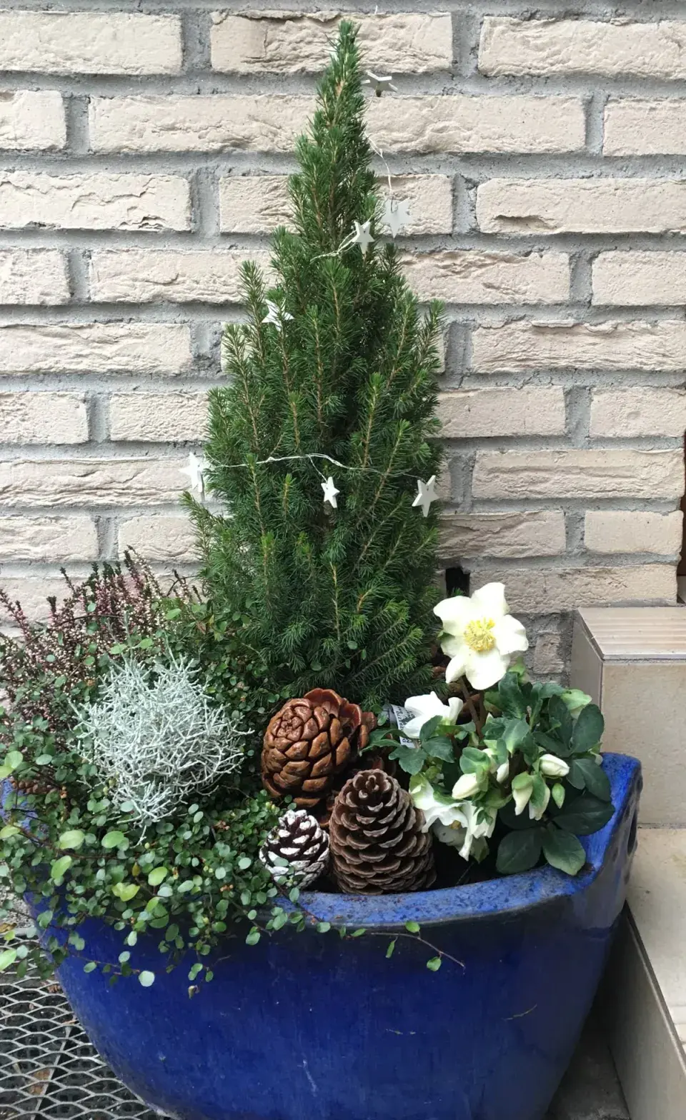 Mrazuvzdorné truhlíky