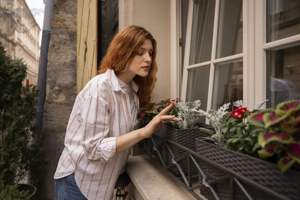 Zimní mrazuvzdorné truhlíky