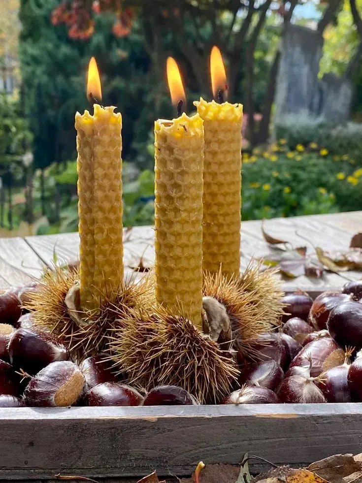 Adventní věnec na délku