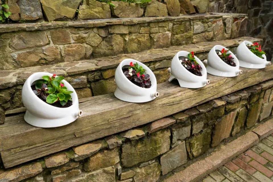 Světový den toalet