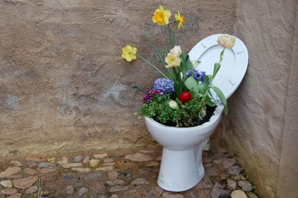 Světový den toalet