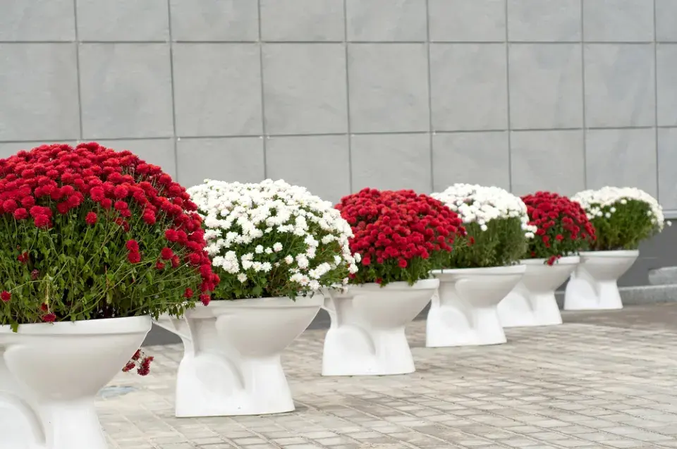 Světový den toalet