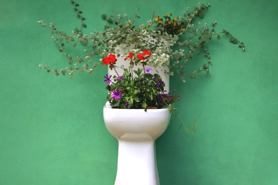 Světový den toalet