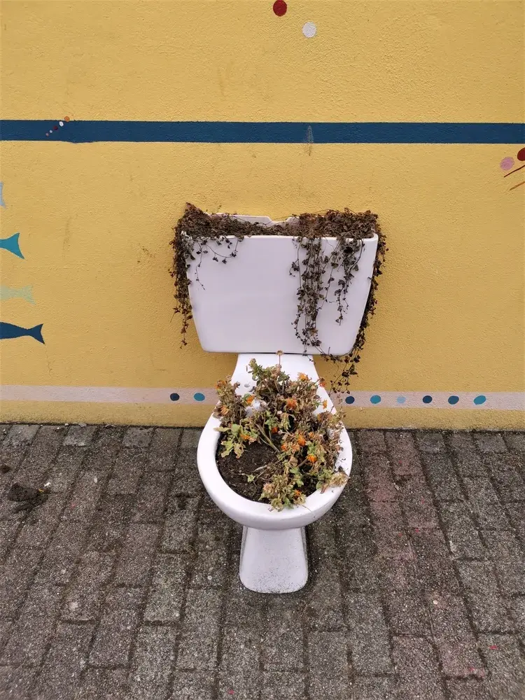 Světový den toalet