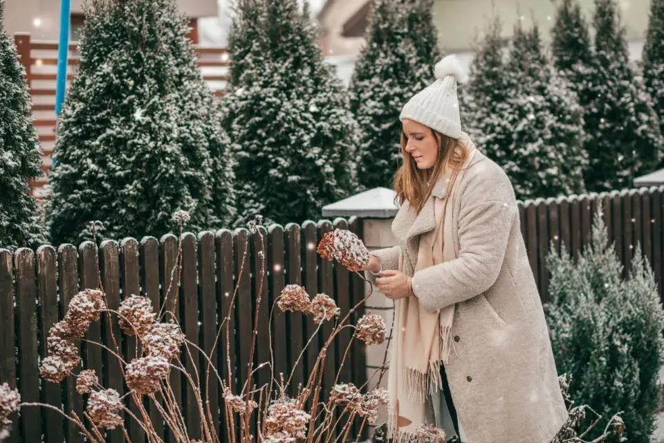 Zahradní katastrofy v listopadu