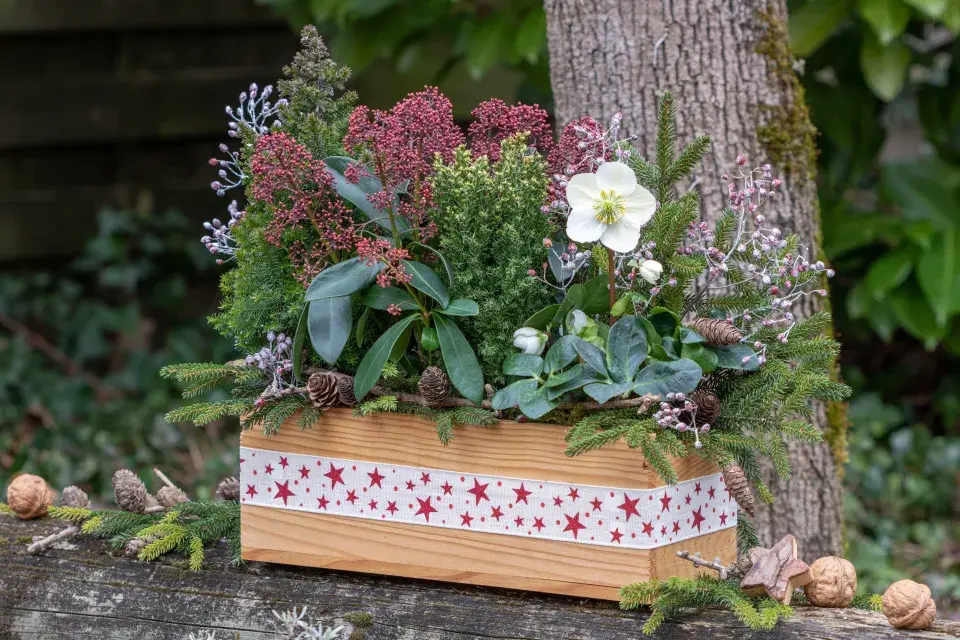 Rostliny kvetoucí v zimě