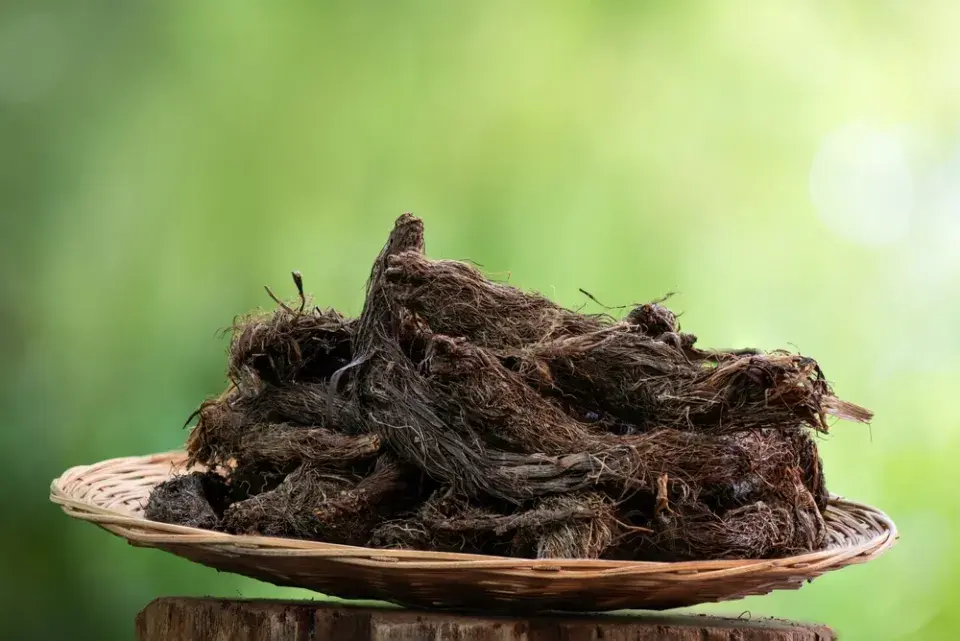 Zahrada Lejly Abbasové