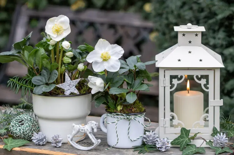 Vkusná vánoční výzdoba hrobu