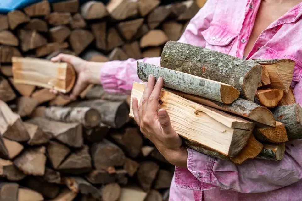 Správná volba palivového dřeva