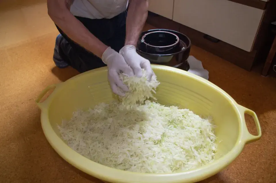 Kysané zelí vás postaví na nohy