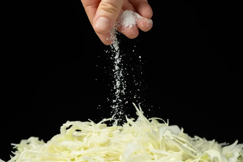 Kysané zelí vás postaví na nohy