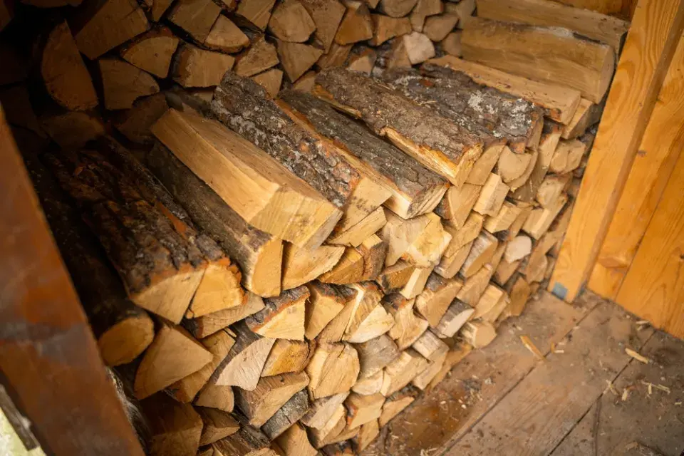 Správná volba palivového dřeva