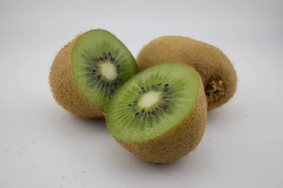 Aktinidie čínská (Actinidia chinensis)