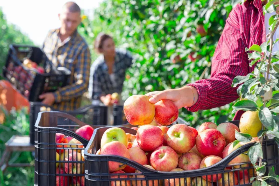 Vraťte se do dětství a připravte si domácí křížaly