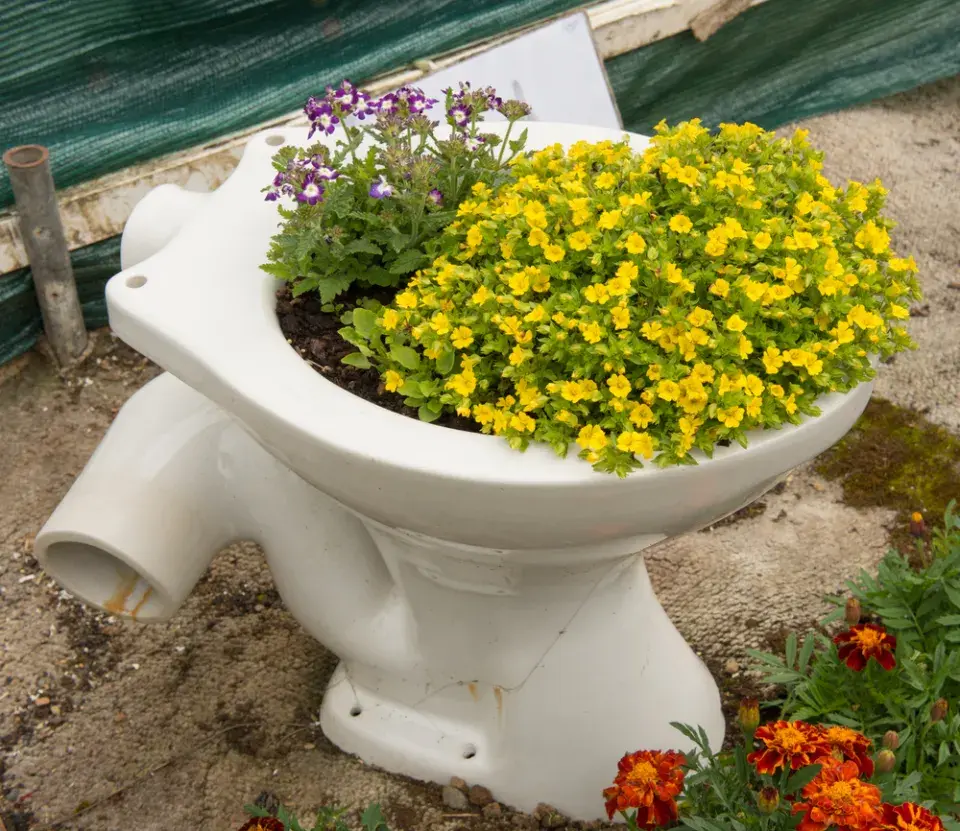 Světový den toalet