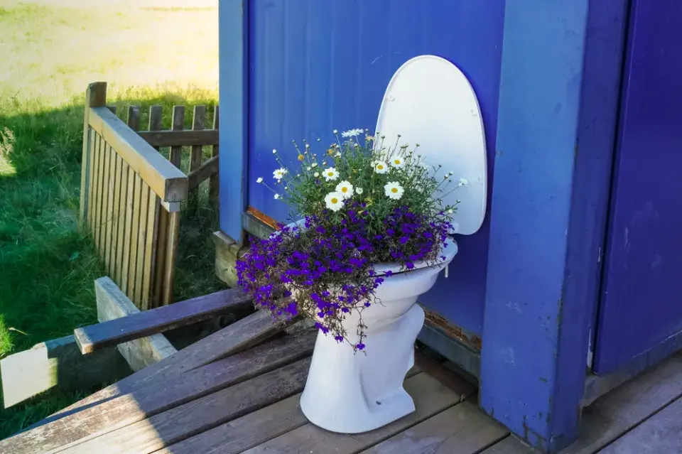 Světový den toalet