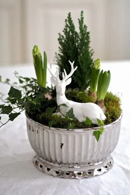 Jarní cibuloviny, které ozdobí vaše vánoční dekorace