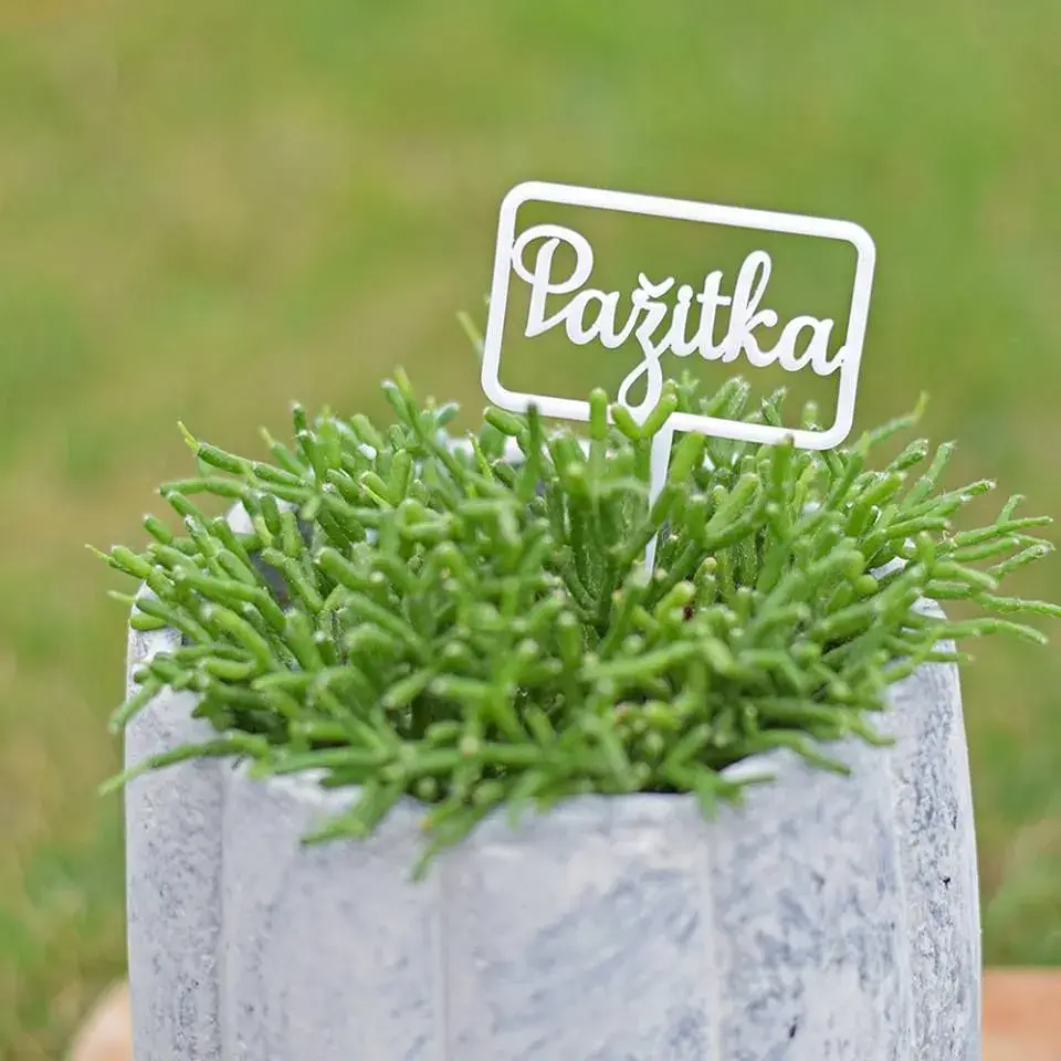 Originální jmenovky k rostlinám