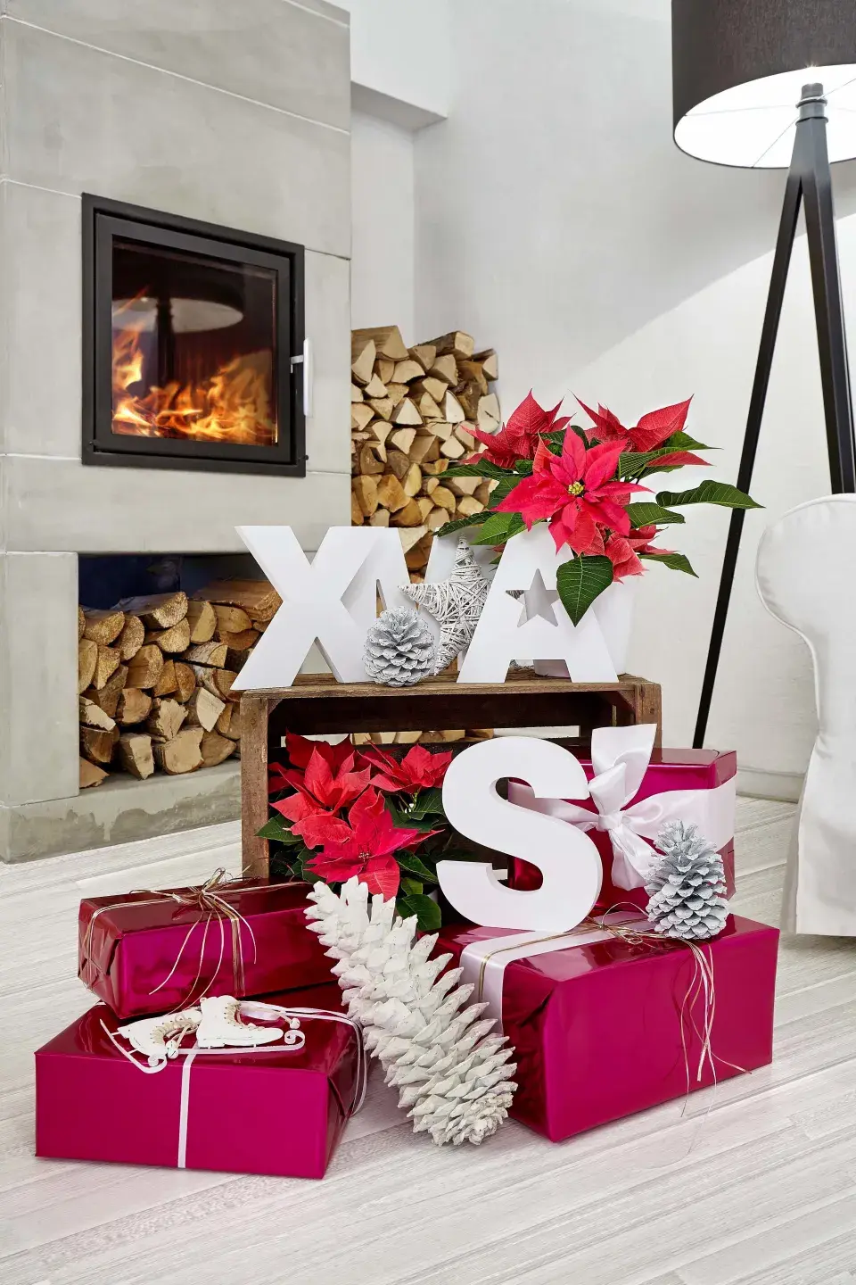 Vánoční hvězda jako neodmyslitelná součást vánočních dekorací a Vánoc