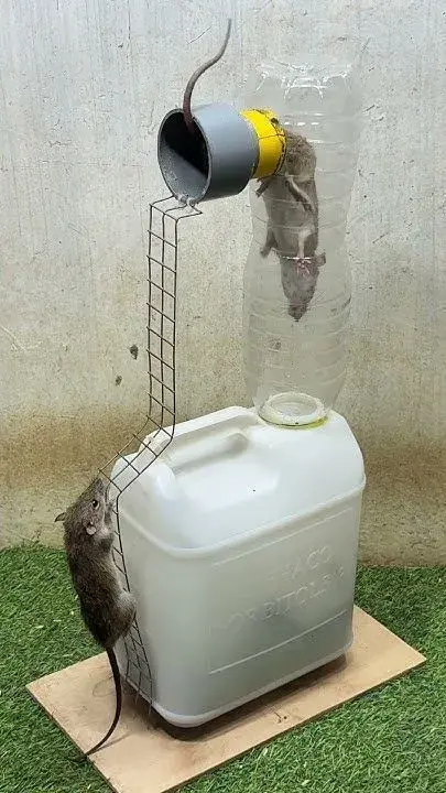 Recyklace a upcyklace PET lahví