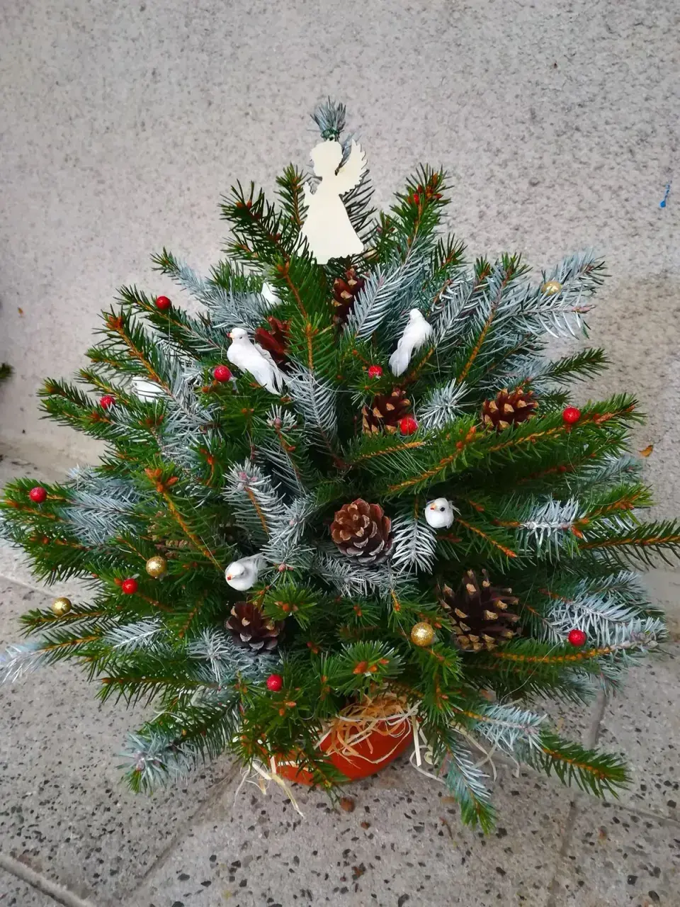 Jak odekorovat zahradu před Vánocemi?