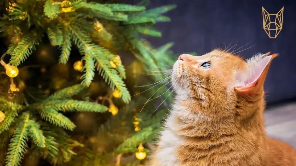 Domácí mazlíčci u vánočního stromku