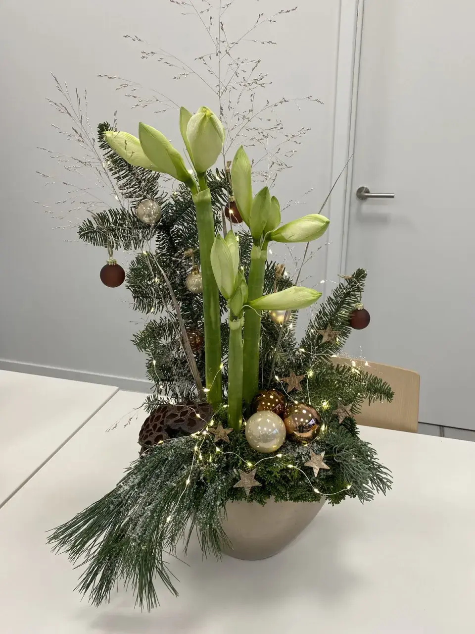 Jarní cibuloviny, které ozdobí vaše vánoční dekorace