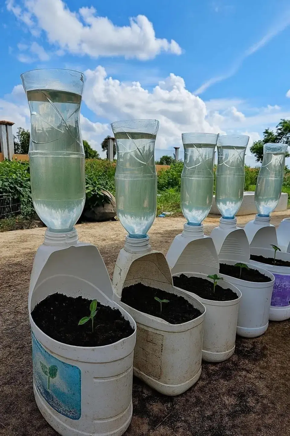 Recyklace a upcyklace PET lahví