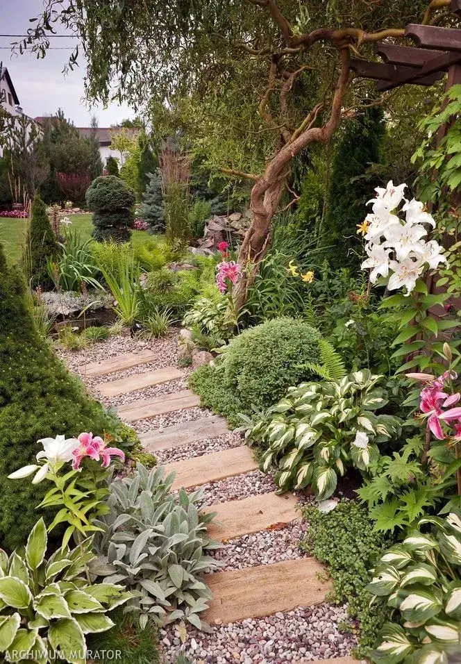 Novinky z pohledu zákonů