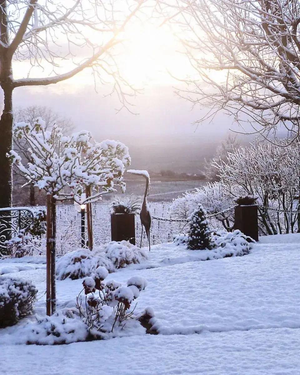 Krásy zimní zahrady