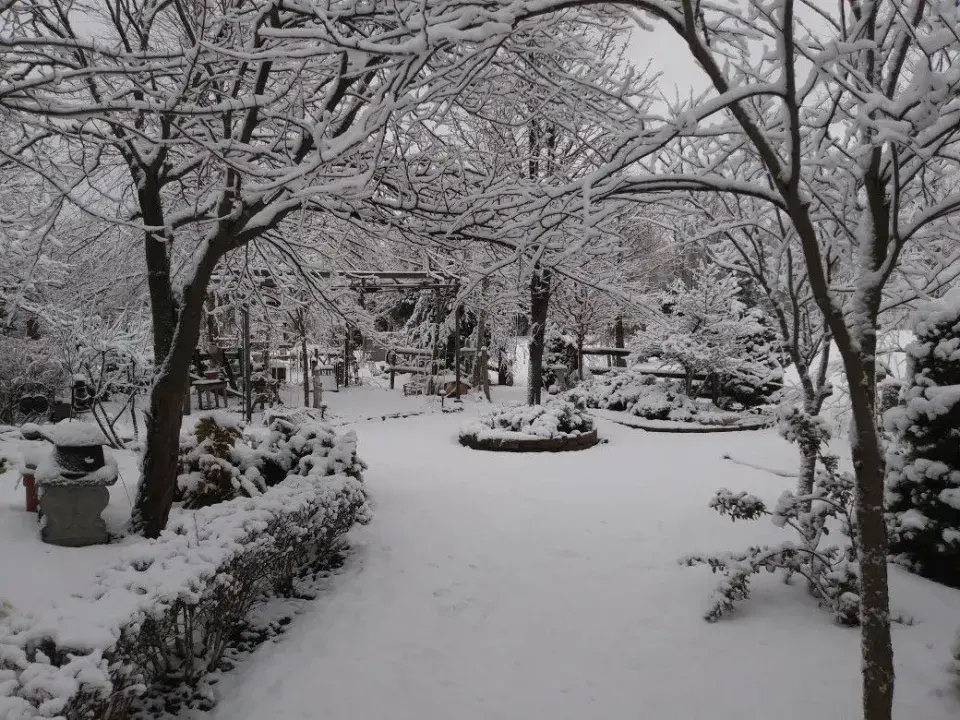 Krásy zimní zahrady