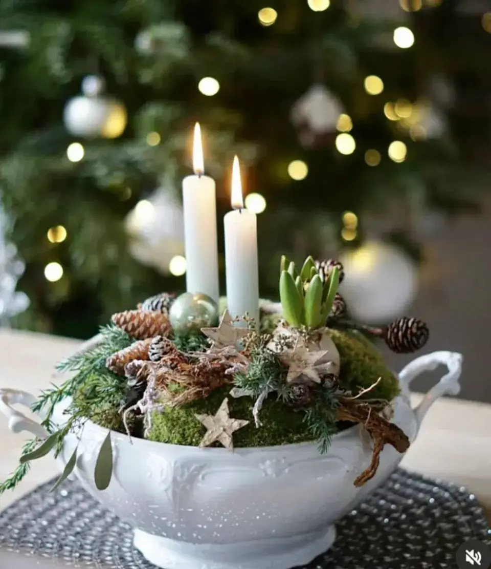 Jarní cibuloviny, které ozdobí vaše vánoční dekorace